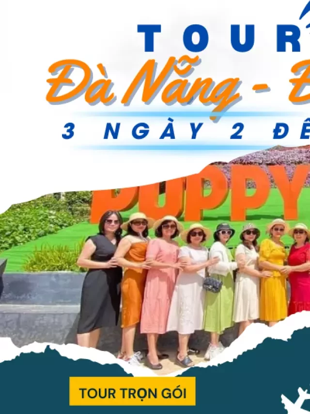   Top 5 nhà xe Đà Nẵng đi Đà Lạt tốt nhất và giá vé năm 2024