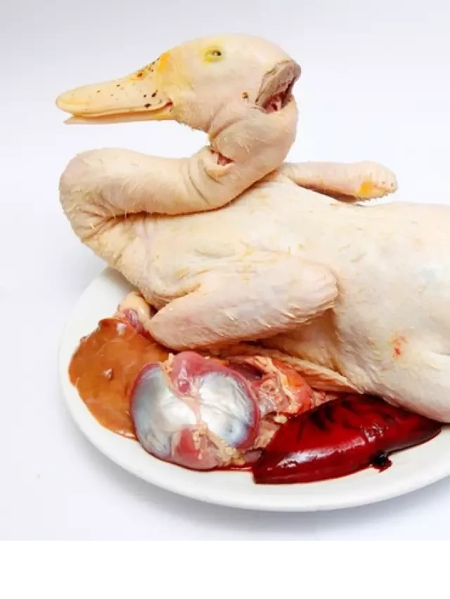   Cách làm vịt không tanh không bị hôi lông - Những bí quyết đơn giản