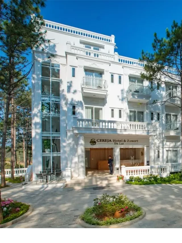   Cereja Hotel &amp; Resort Dalat – Nét đẹp yên bình bên hồ Tuyền Lâm