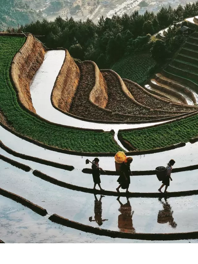   Kinh nghiệm du lịch Mù Cang Chải mùa lúa chín 2022: Nơi quyến rũ hiện đại và đầy sức sống
