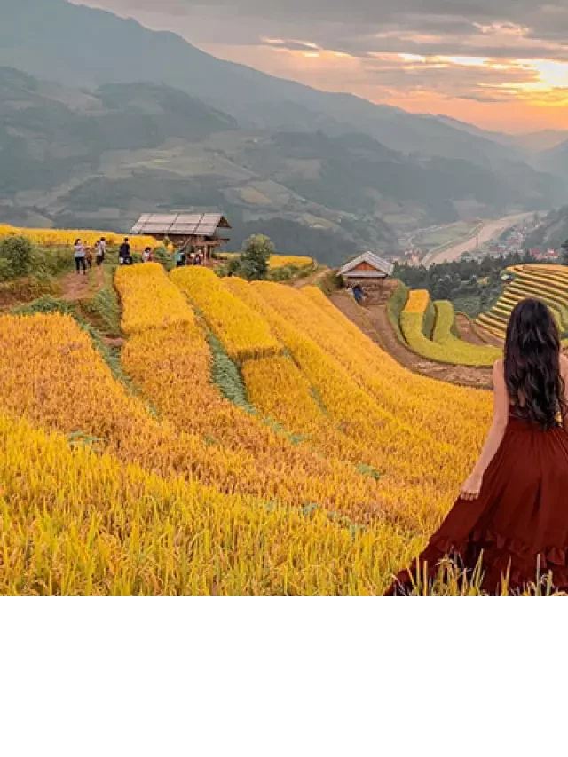   Những địa điểm du lịch tuyệt đẹp ở Yên Bái