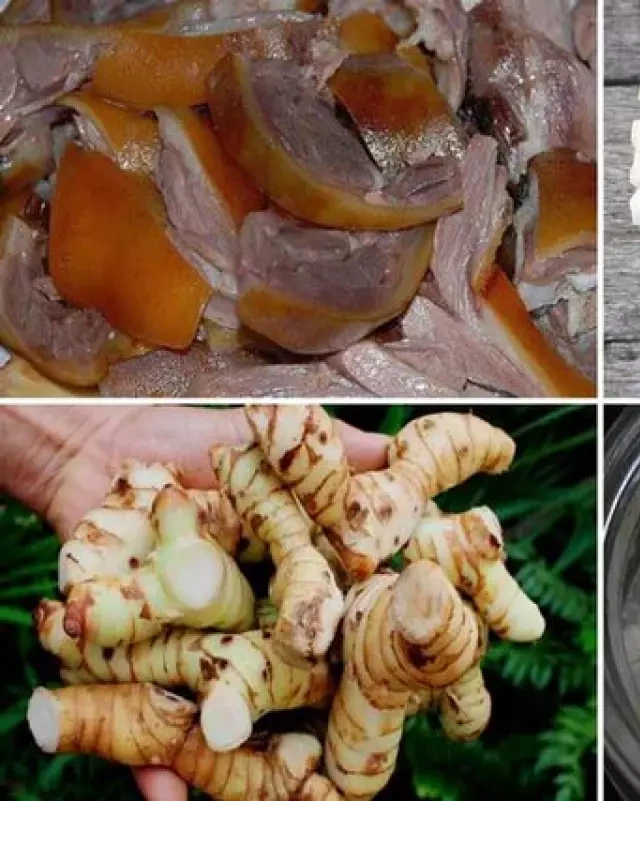   Cách làm lẩu chó nấu măng - Một món ăn đậm đà hấp dẫn mà ai cũng thích mê