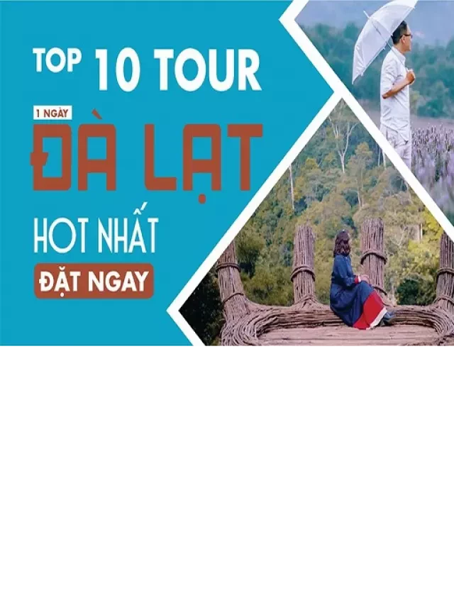   Đường hầm điêu khắc Đà Lạt: Khám phá công trình kỳ công của thành phố ngàn hoa