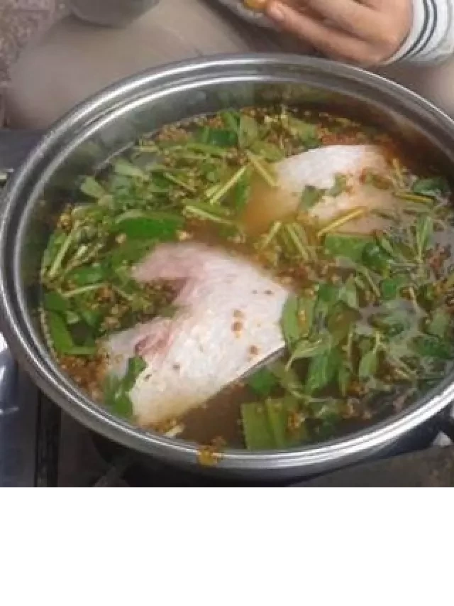   Lẩu Dương Tử Giang Quận 5 - Khám phá 3 quán lẩu phổ biến tại Sài Gòn