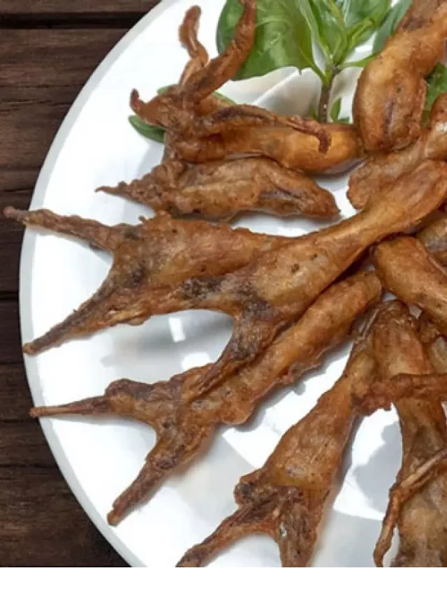   Lưỡi vịt làm món gì ngon? Tìm hiểu ngay 10 công thức bất hủ