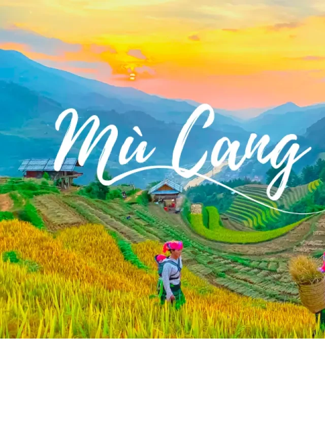   Mù Cang Chải tháng 9: Trải nghiệm bức tranh vàng trên cánh đồng bậc thang Tây Bắc