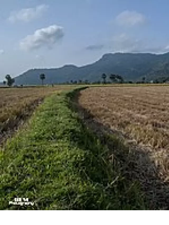   Núi Cấm: Khám phá điểm du lịch nổi tiếng ở An Giang
