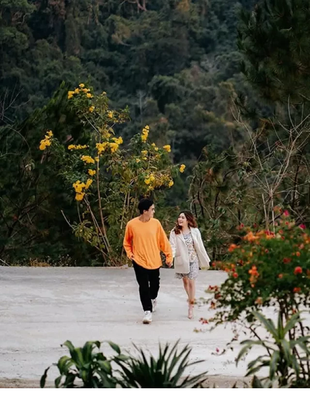   Review Cao Nguyên Hoa Đà Lạt: Một Kỳ Tích Thiên Nhiên Trên Đỉnh Đồi