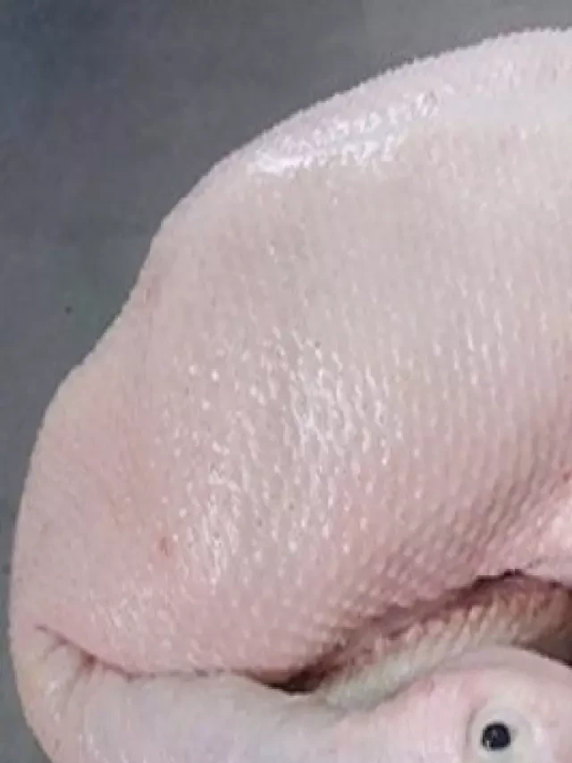   Tiết lộ cách chọn vịt làm sẵn ngon mà nhiều người chưa biết