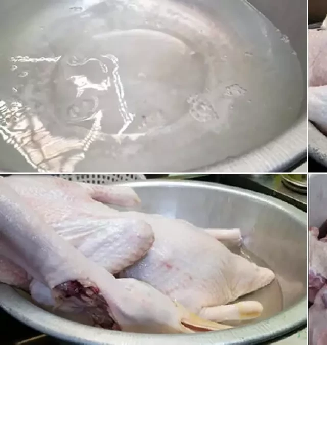   Cách nấu lẩu vịt nước dừa ngon, thịt vịt ngọt và không tanh, vừa ăn vừa suýt xoa