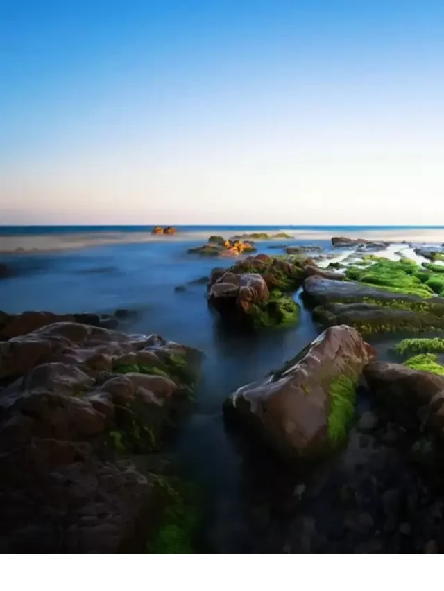   A-Z Review Bãi biển Cổ Thạch đá 7 màu ở Phan Thiết