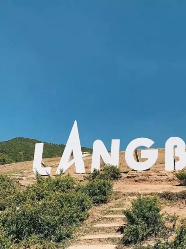   Đỉnh Langbiang Đà Lạt: Trọn bộ cẩm nang ĐI LẠI - ĂN - CHƠI 2024