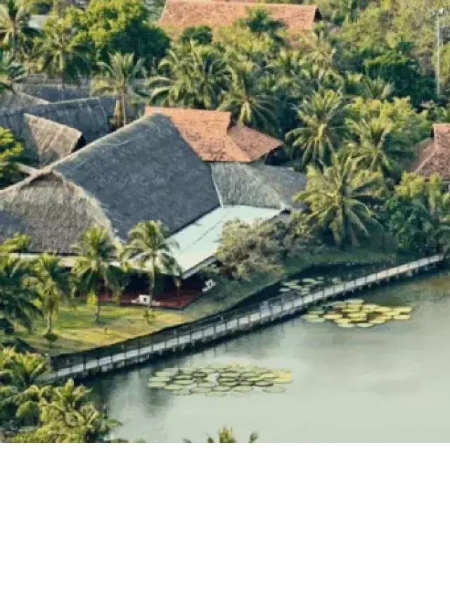   Khu du lịch Tân Cảng - Nơi nghỉ dưỡng lý tưởng tại Sài Gòn