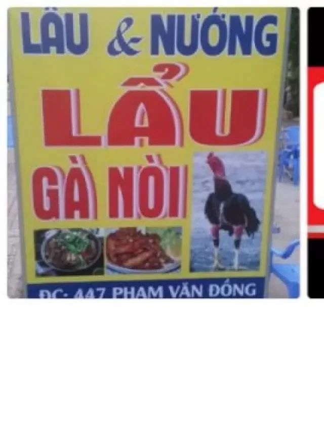   Quán Lẩu Gà Nòi Ngon HCM: Trải Nghiệm Độc Đáo Tại Quán Tư Mập