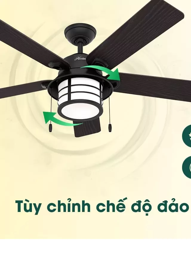   Tại Sao Quạt Trần Quay Ngược Và Hướng Dẫn Cách Khắc Phục