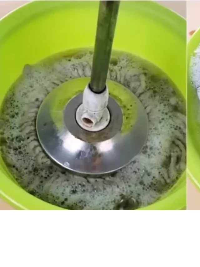   Cây lau nhà đen và bẩn đừng vứt đi: Ngâm vào nước này bụi bẩn sạch hết như mới, không tốn công sức