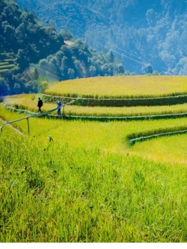   Khám phá lễ hội ruộng bậc thang Mù Cang Chải 2023