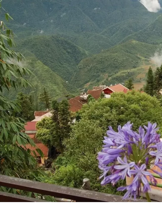   Review Khách sạn Cát Cát View Sapa - Nơi lưu trú trung tâm thị trấn Sapa