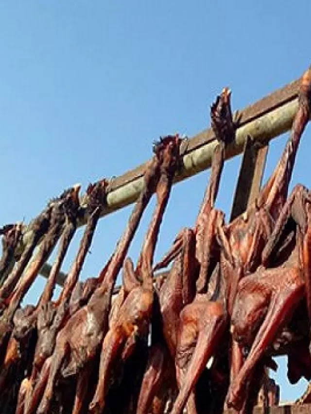   Vịt phơi khô làm món gì ngon và lạ miệng?