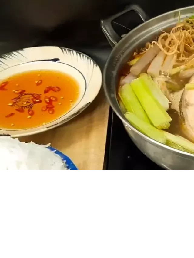   Tổng hợp các quán lẩu cá bớp tại TPHCM tươi ngon hấp dẫn