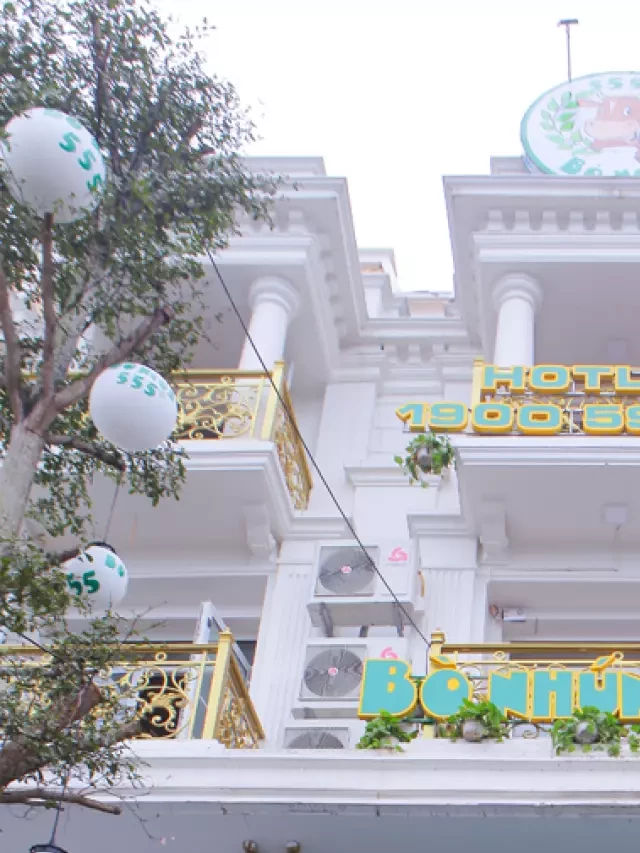   Thưởng Thức Set Bò Nhúng Dấm 2 Vị Cho 4-6 Người - Bò Ngon 555: Nhà hàng ẩm thực đáng thử