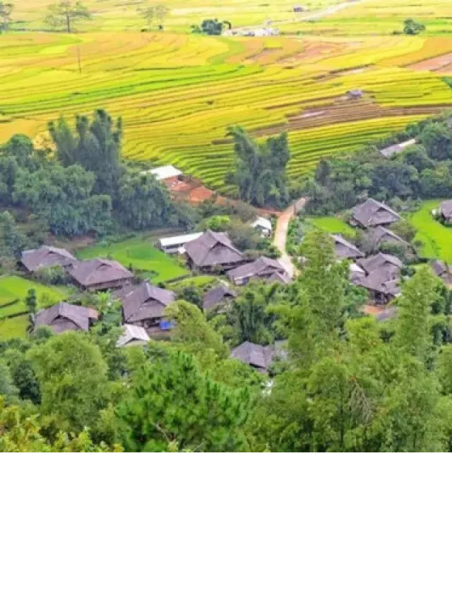   Du lịch Bản Thái Mù Cang Chải - Khám phá văn hóa người Thái