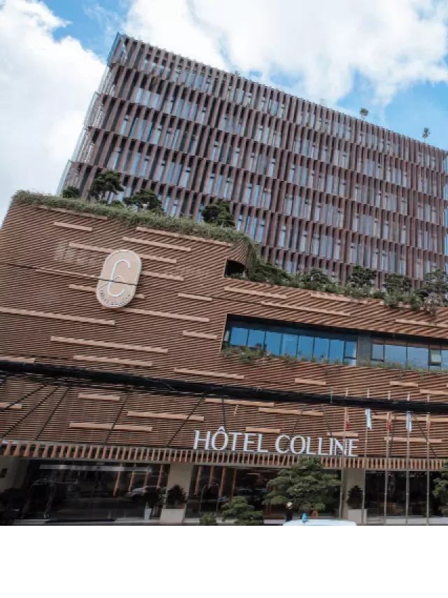   Review khách sạn Hotel Colline Đà Lạt - Một trải nghiệm đáng nhớ