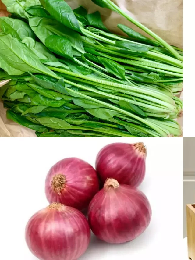   Cải bó xôi nấu gì ngon? Tổng hợp 9 món ngon từ cải bó xôi