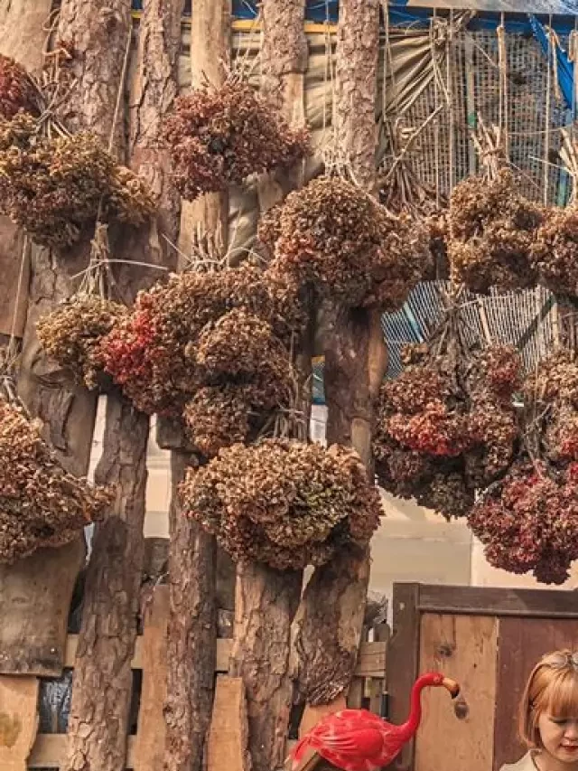   Chuyến đi Đà Lạt 3 ngày 2 đêm với đứa bạn thân chỉ 5 triệu
