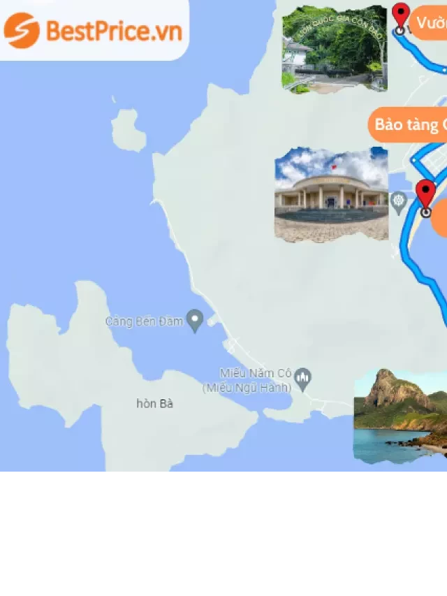   Du lịch Côn Đảo - Trọn gói, giá tốt, chất lượng 2024