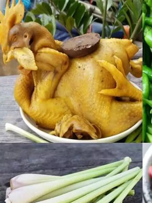   Hướng dẫn cách nấu lẩu gà ớt hiểm chua cay đậm đà hấp dẫn