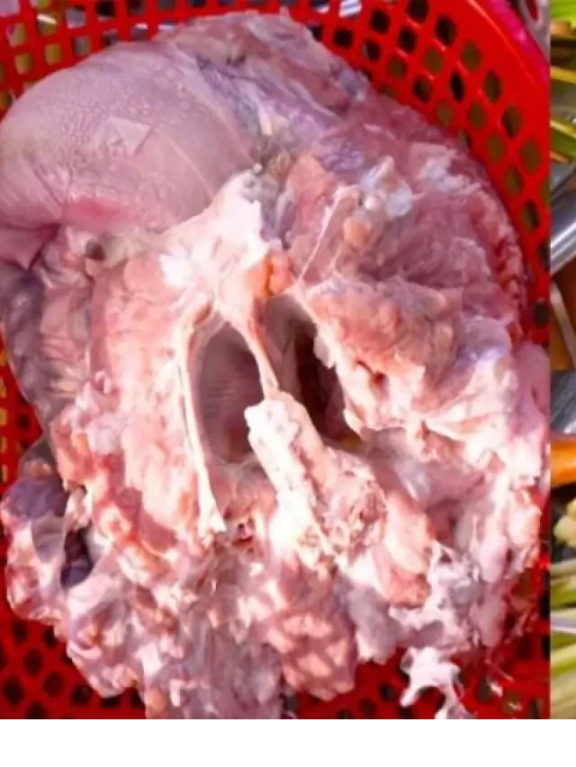   Làm Món Gì Ngon với Lưỡi Bò? Gợi Ý 12 Món Chiêu Đãi Gia Đình