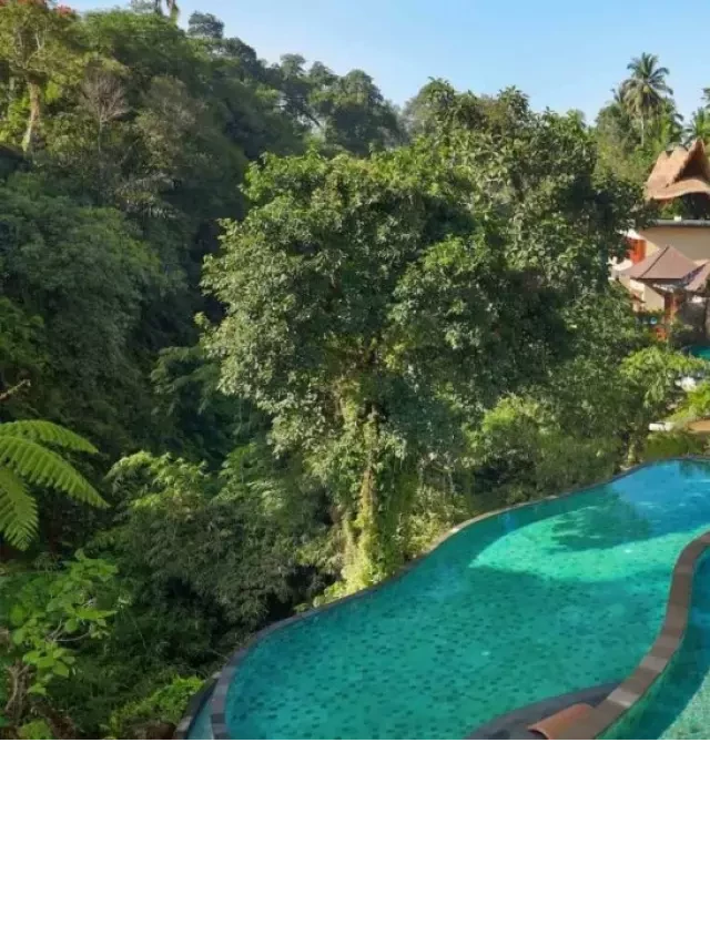   Top 15 khách sạn đẹp nhất Ubud