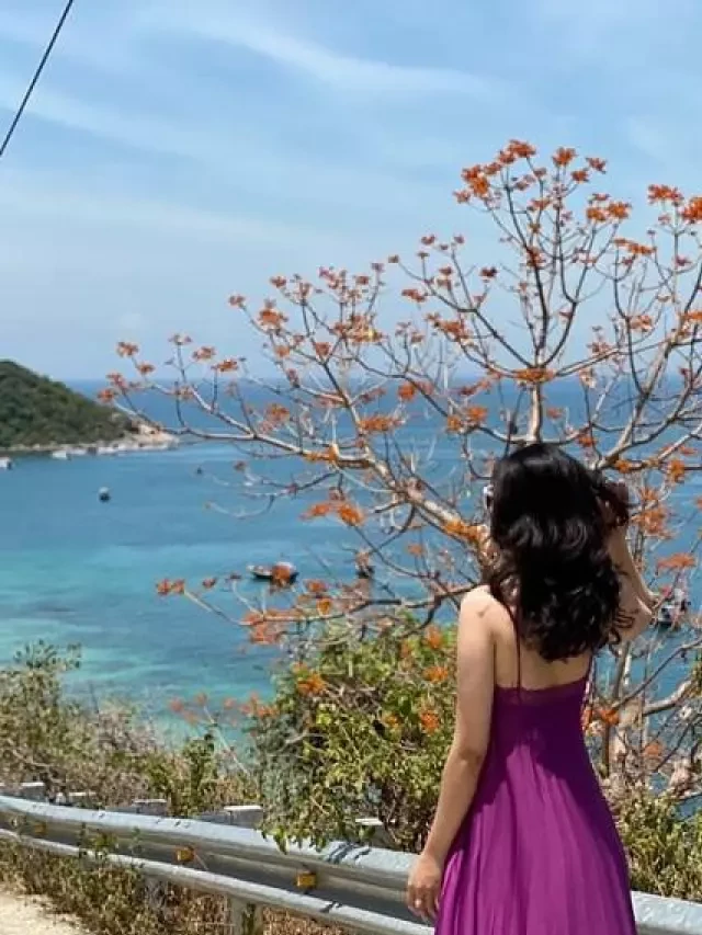   Tour Cù Lao Chàm 2 ngày 1 đêm: Khám phá hòn đảo xinh đẹp từ Đà Nẵng Hội An