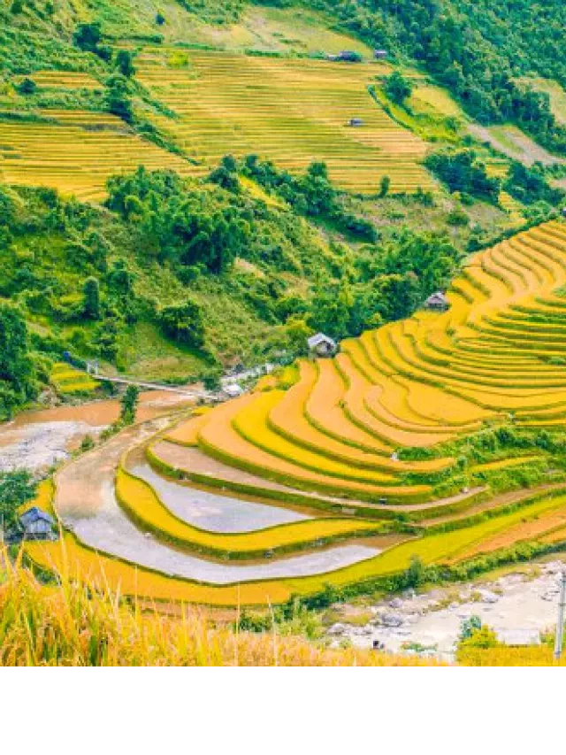  Kinh nghiệm du lịch Mù Cang Chải 2023 từ A – Z