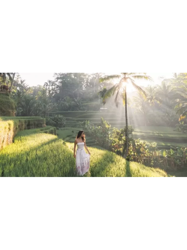   Kinh nghiệm du lịch khu Ubud Bali - cách đến, chơi gì, ở đâu?