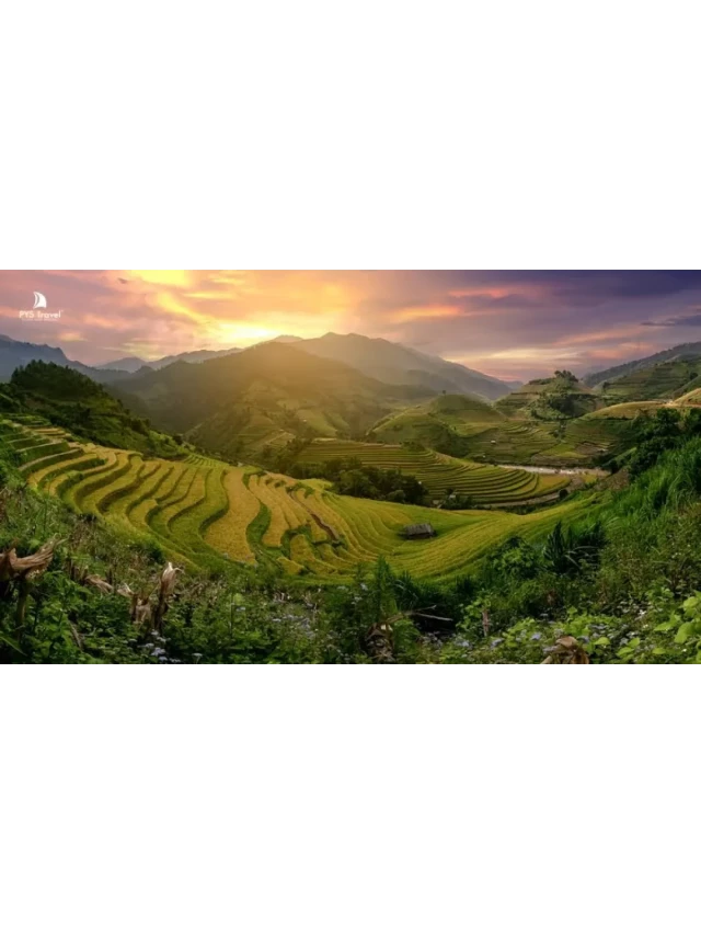   Tất tần tật kinh nghiệm du lịch Mù Cang Chải tự túc