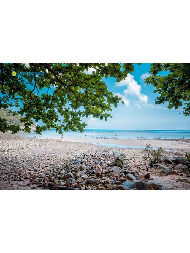   Du Lịch Côn Đảo [Tàu Cao Tốc]