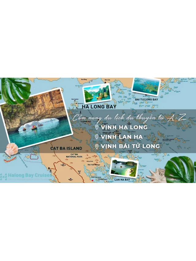   Du thuyền vịnh Hạ Long, vịnh Lan Hạ, vịnh Bái Tử Long từ A-Z: Cẩm nang kinh nghiệm đi du thuyền
