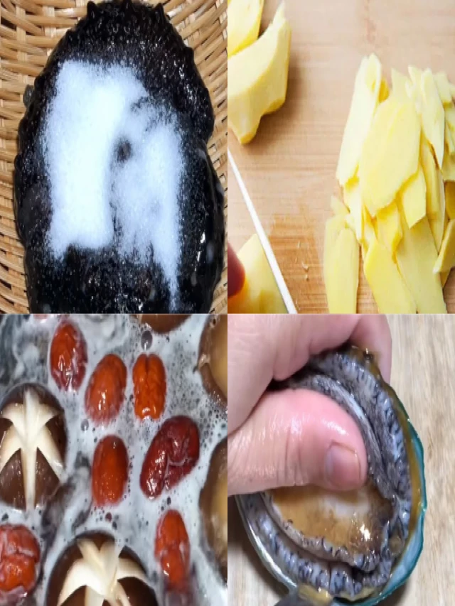   Hướng Dẫn Cách Nấu Soup Bào Ngư Hải Sâm Vi Cá Thơm Ngon Bổ Dưỡng
