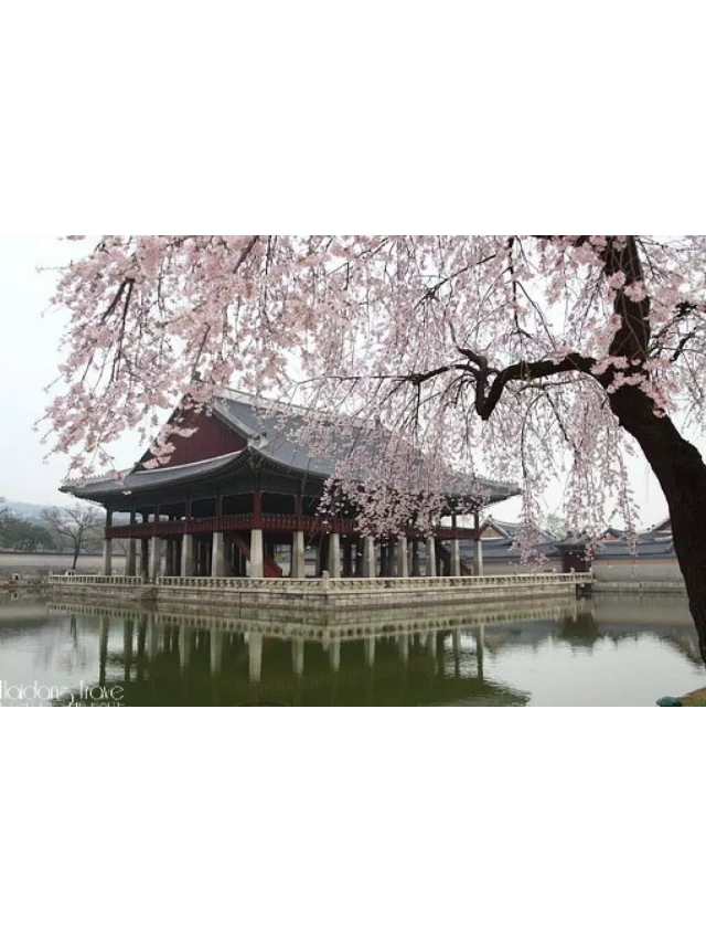   Tour Du lịch Hàn Quốc - Mùa nào đẹp?