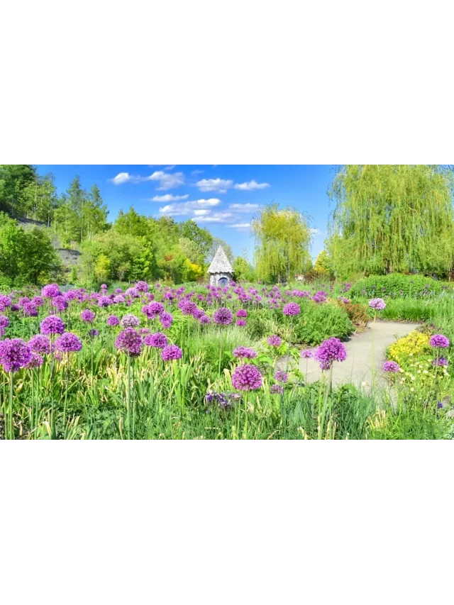   Du lịch Hokkaido mùa hè với 29 địa điểm hấp dẫn nhất