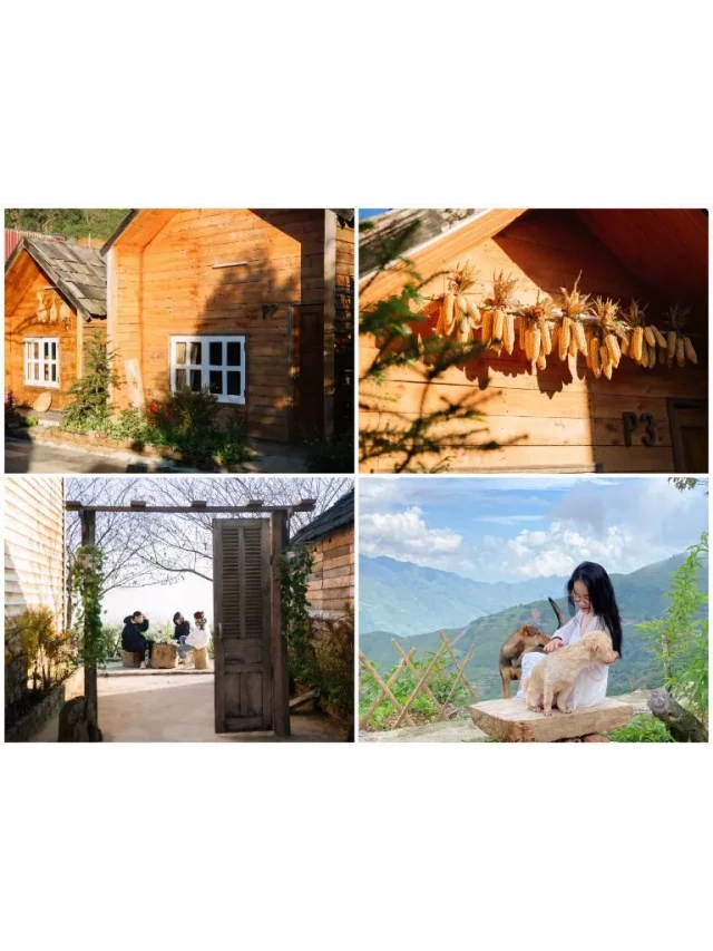   Homestay Tà Xùa: Cùng Nhau Săn Mây với Tà Xùa Clouds Homestay, Pơ Mu Homestay và Mùa Trứ