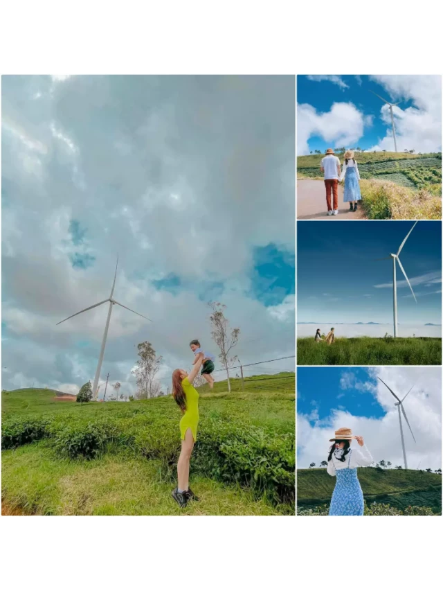   Top 55+ địa điểm du lịch Đà Lạt, không thể bỏ qua năm 2023