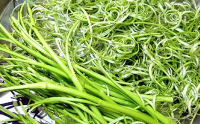 Rau Ăn Lẩu Hải Sản: Đưa Bữa Ăn Lên Một Tầm Cao Mới