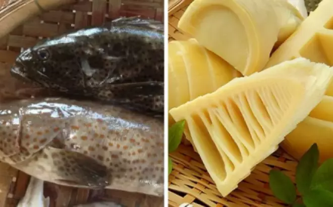 Lưu ngay 2 công thức chế biến lẩu cá mú măng chua và lẩu cá mú chua cay ngon ngất ngây