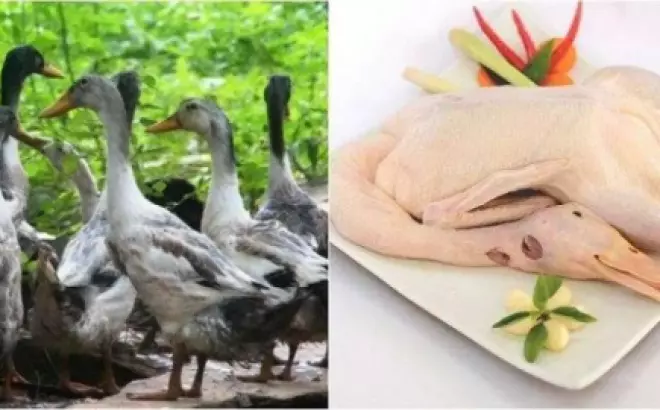 Cách làm vịt nấu chao ngon, thơm nức, béo ngậy mà không hề bị hôi